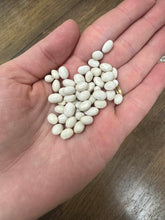 'Fagiolo del Purgatorio' Bean