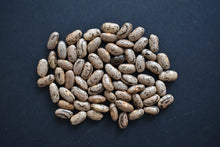 'Rattlesnake' Pole Bean