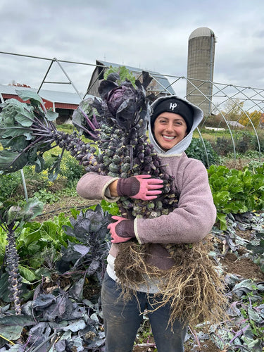 'Red Rubine' Brussels Sprouts