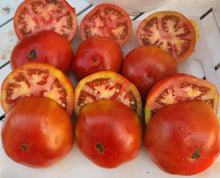 'Silvery Fir Tree' Tomato