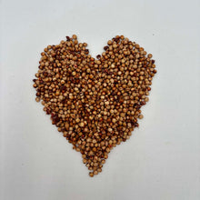 'Sugar Drip' Sorghum