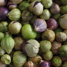 Going to Seed Tomatillo Grex