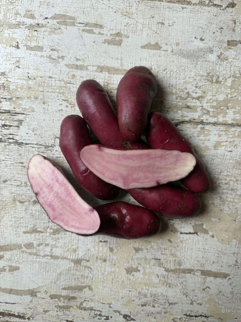 mayan rose seed potatoes 'Valley Rose' Seed Potatoes