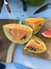 Wild Dreams Watermelon Grex