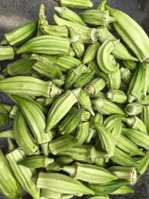 'Whidby White' Okra