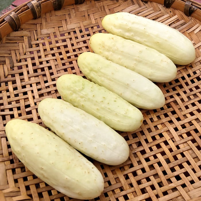 Experimental Farm Network Salt and Pepper Cucumber - Thumbnail 2