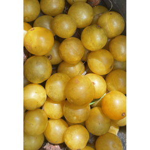 Yellow Mirabelle Plum