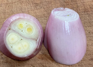 'Zebrune' Shallot