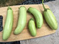 'Badenjan Sesame' Eggplant