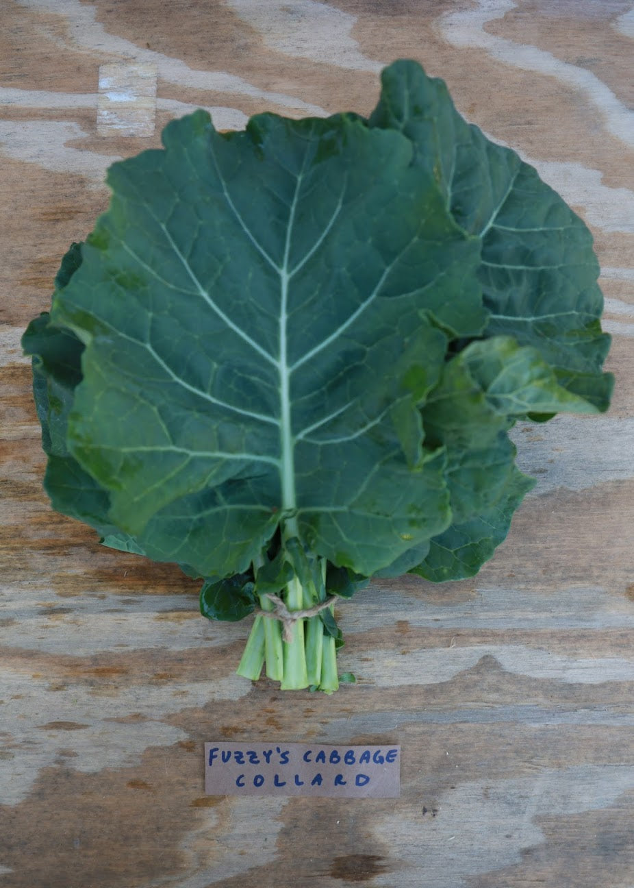 Collards – All You Need to Know