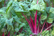'Better Beta Mix' (Chard & Beet)