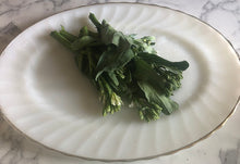 'Big Stem' Chinese Broccoli