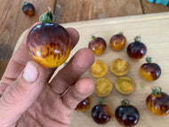 'Cosmic Purple Rain' Cherry Tomato