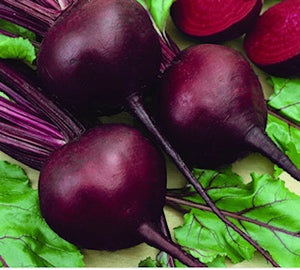 'Detroit Dark Red' Beet