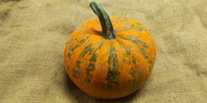 'Emerald Naked Seeded' Pumpkin