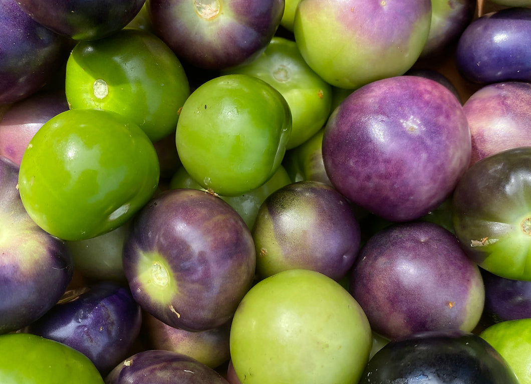 'Purple and Green' Tomatillo