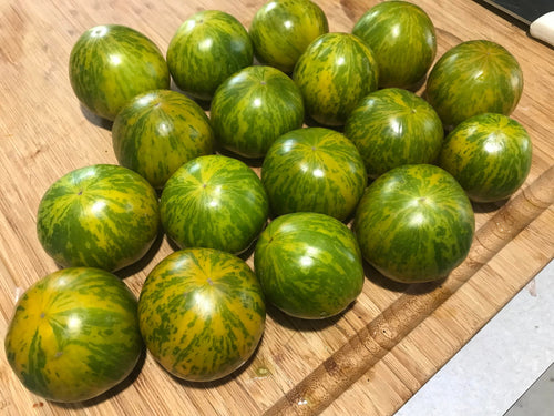 'Green Zebra' Tomato