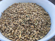 'Hayayuki' Upland Rice