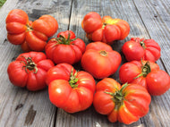 'Homs 11' Tomato