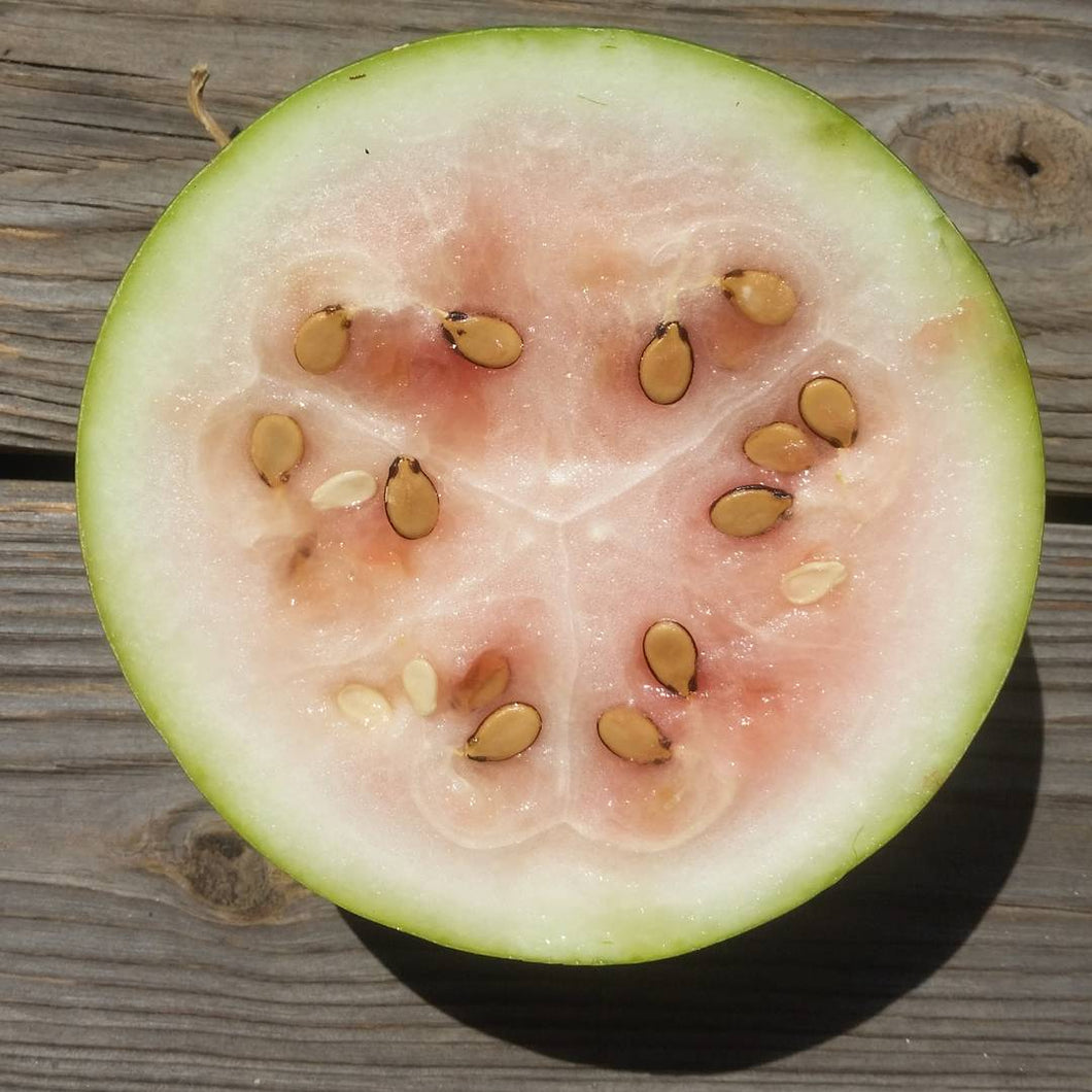 'Homs Landrace' Watermelon