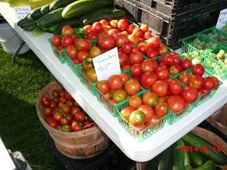 'Jagodka' Early Tomato