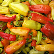 Lofthouse Sweet Pepper Grex