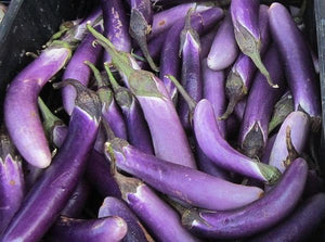 'Long Purple' Eggplant