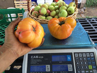 'Mountain Spirit Bi-color' Hybrid Swarm Tomato