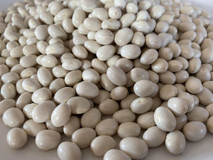 'White Marrowfat' Bean