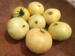 'White Queen' Tomato
