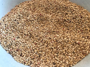 Wild Garden Breeder's Mix Quinoa