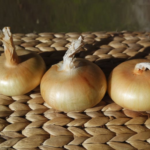 'Yellow Cipollini' Onion